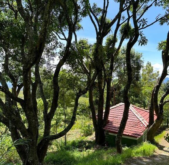 ‫فيلا غرفة نوم واحدة, Qatsyir Horizon