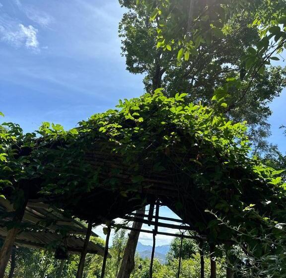 غرفة قياسية سرير كينج, Qatsyir Horizon