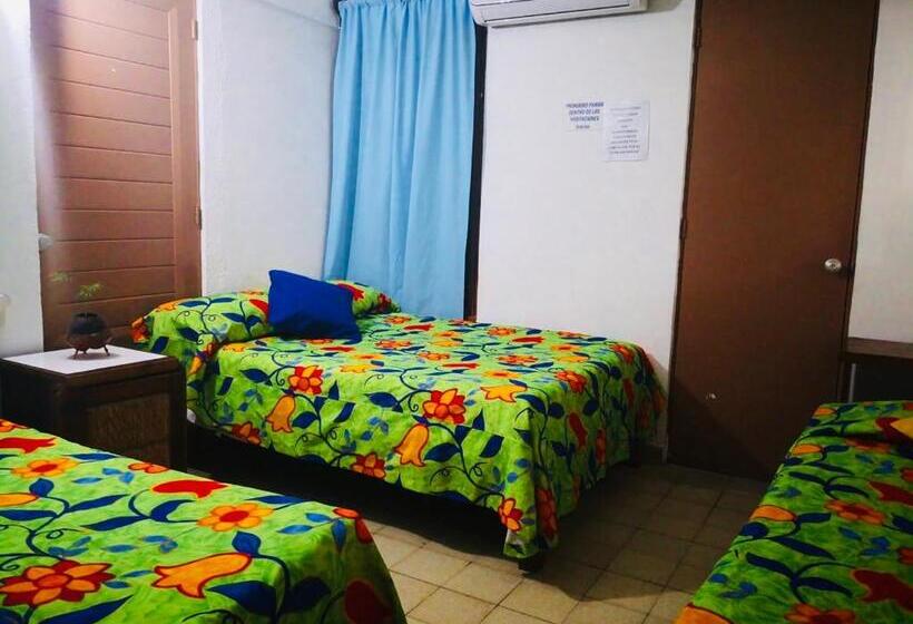 غرفة قياسية, Zócalo Abuelos