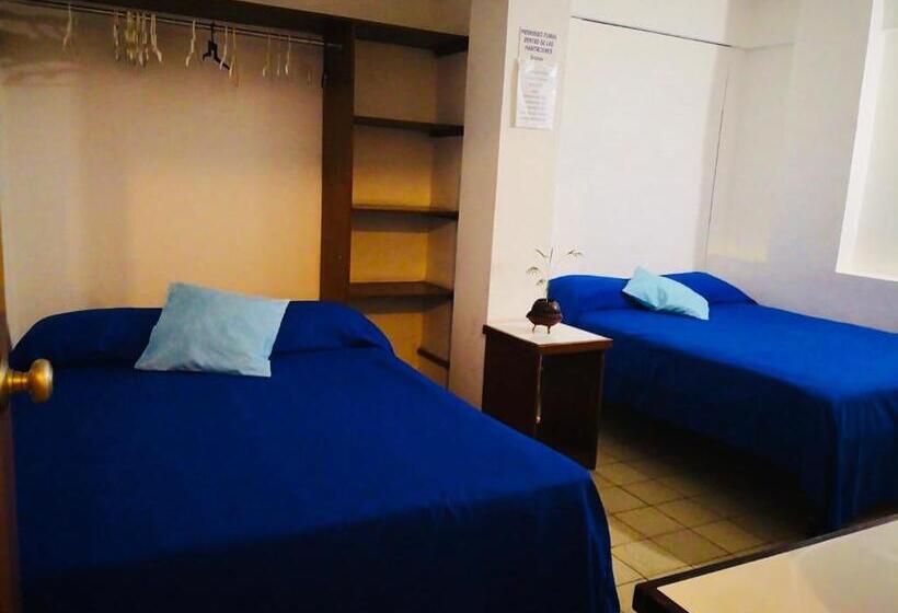 غرفة قياسية, Zócalo Abuelos