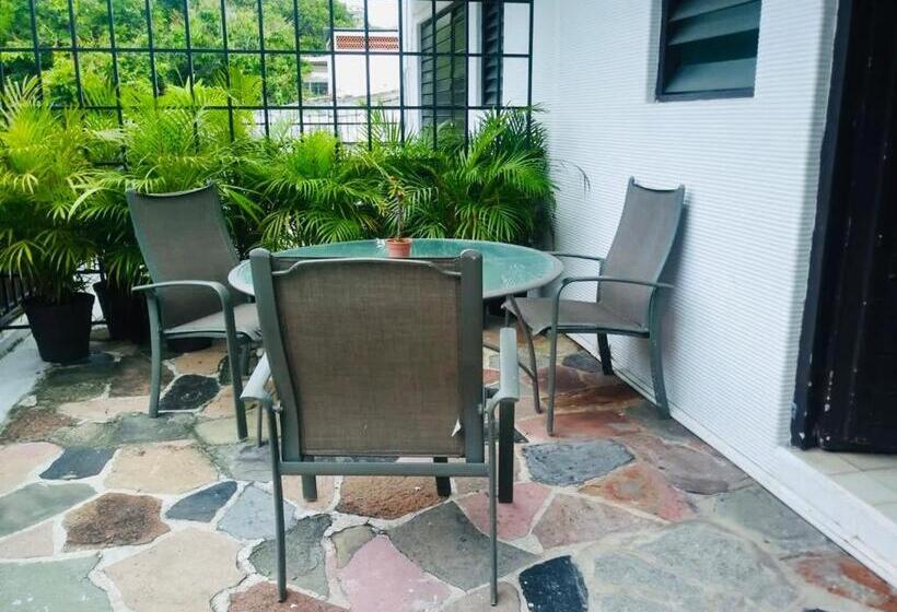 إستوديو قياسى, Zócalo Abuelos