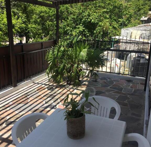 إستوديو قياسى, Zócalo Abuelos