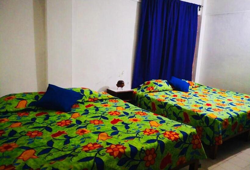 غرفة عائلية, Zócalo Abuelos