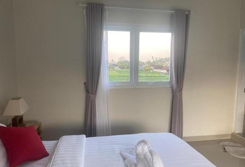 豪华房间, D A House