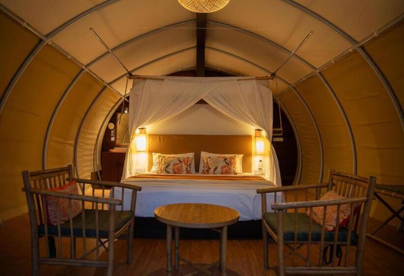 חדר סטנדרט, Floating Jungloo