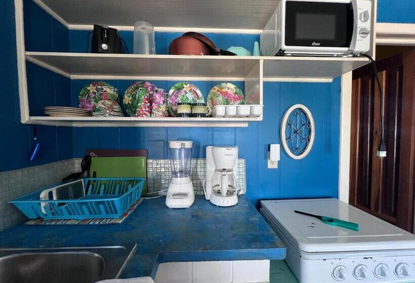 آپارتمان 1 خوابه با چشم‌انداز دریا, Dockside Utila Ocean Front Suites