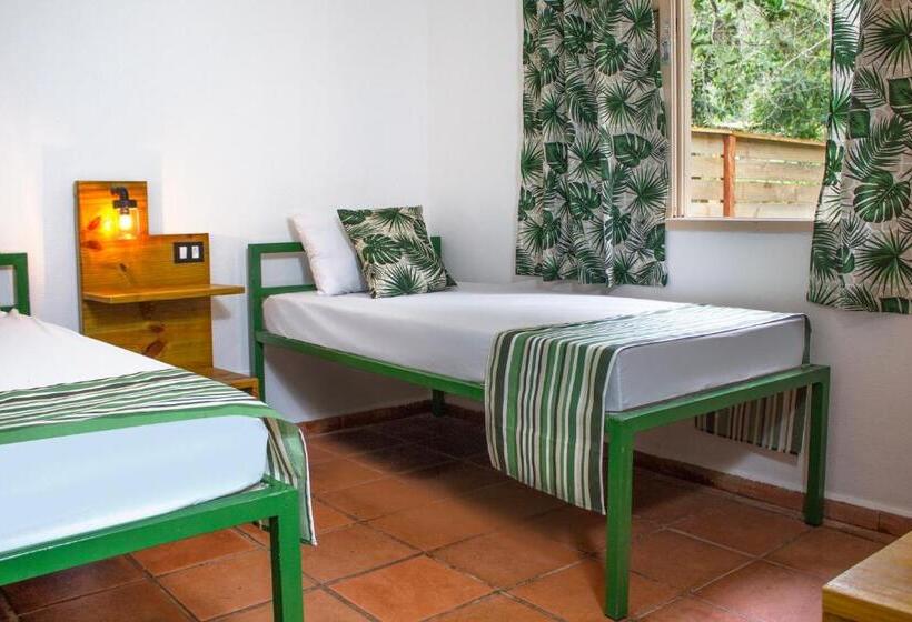 스탠다드 룸, Green Haven Hostel Ilha Anchieta