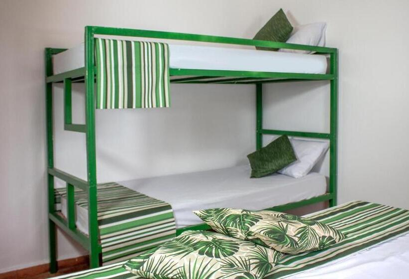 اتاق استاندارد چهار تخته با چشم‌انداز دریا, Green Haven Hostel Ilha Anchieta