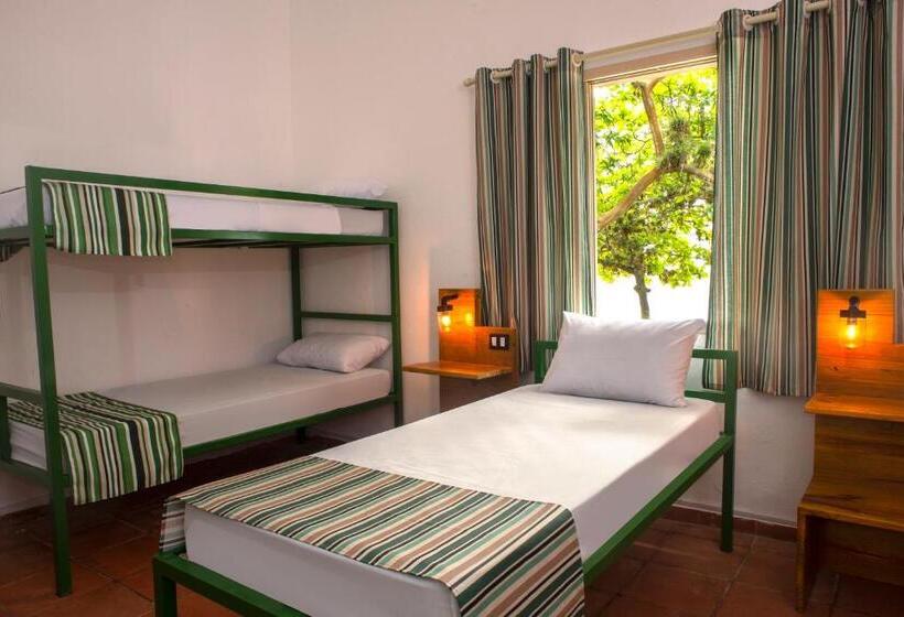 اتاق خانوادگی با چشم‌انداز دریا, Green Haven Hostel Ilha Anchieta