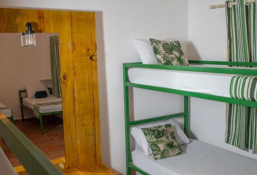 اتاق خانوادگی با چشم‌انداز باغ, Green Haven Hostel Ilha Anchieta