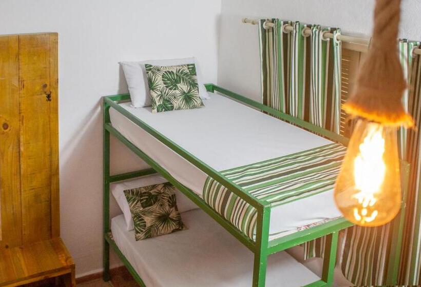 اتاق خانوادگی با چشم‌انداز باغ, Green Haven Hostel Ilha Anchieta