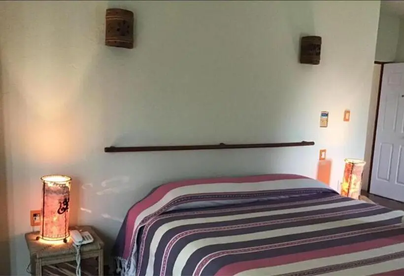 Sviitti, Suite Sofia Veracruz