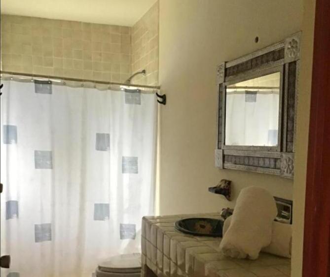 스위트, Suite Sofia Veracruz