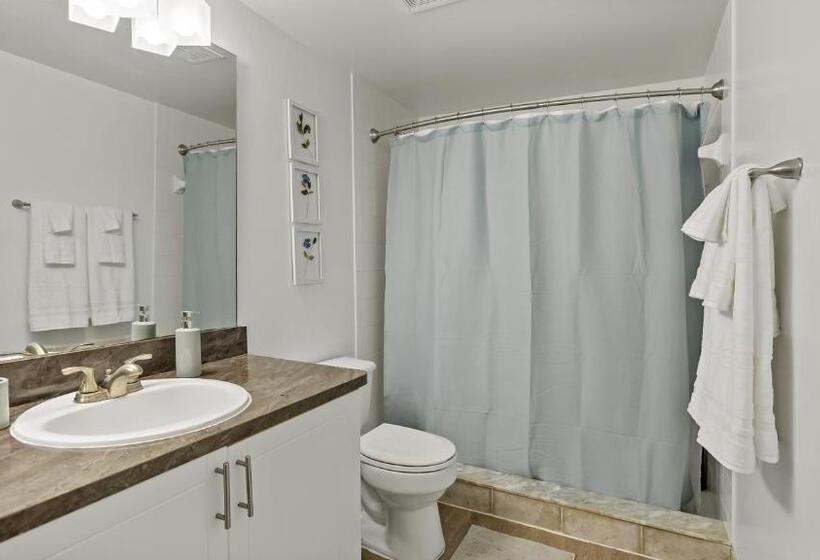 דירת שני חדרים, The Voya   Wellington