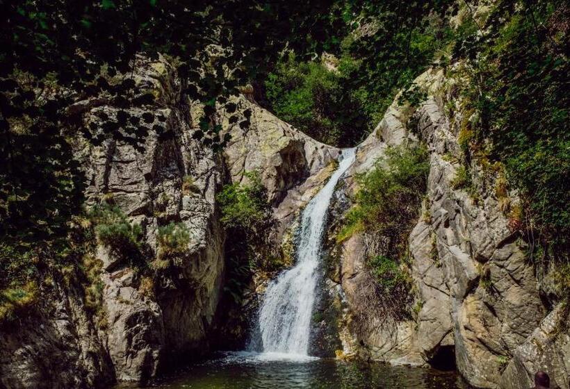 Четырехместный Номер Стандарт, Hôtel Les Sources