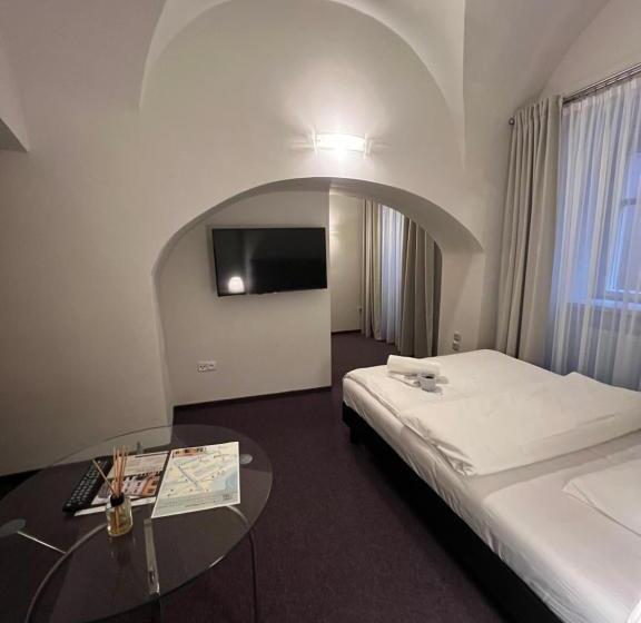 غرفة ديلوكس فردية, Zámecká 17