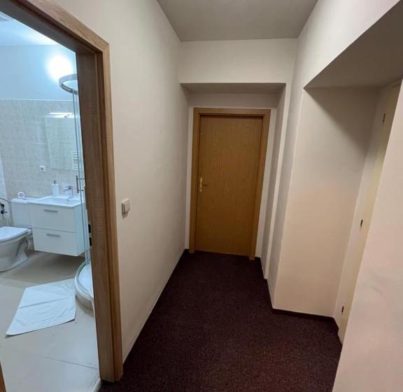 غرفة قياسية فردية, Zámecká 17