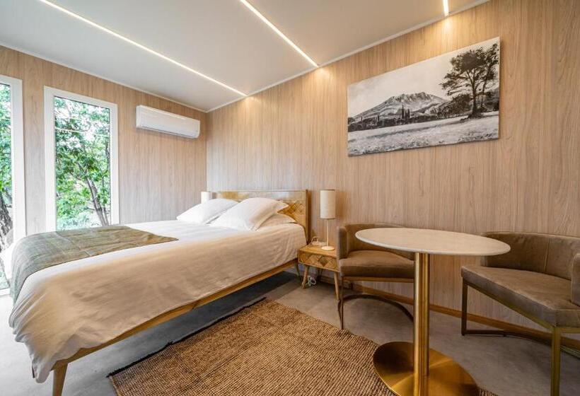 マウンテンビュースタンダードルーム, Le Chant Des Pins Lodge & Spa Tour De Keyrié