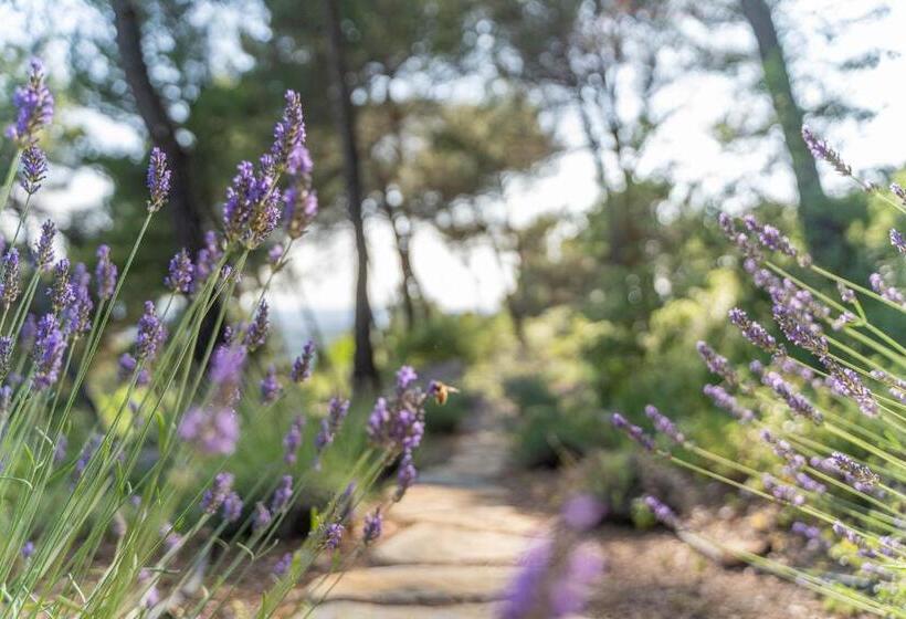 マウンテンビュースタンダードルーム, Le Chant Des Pins Lodge & Spa Tour De Keyrié