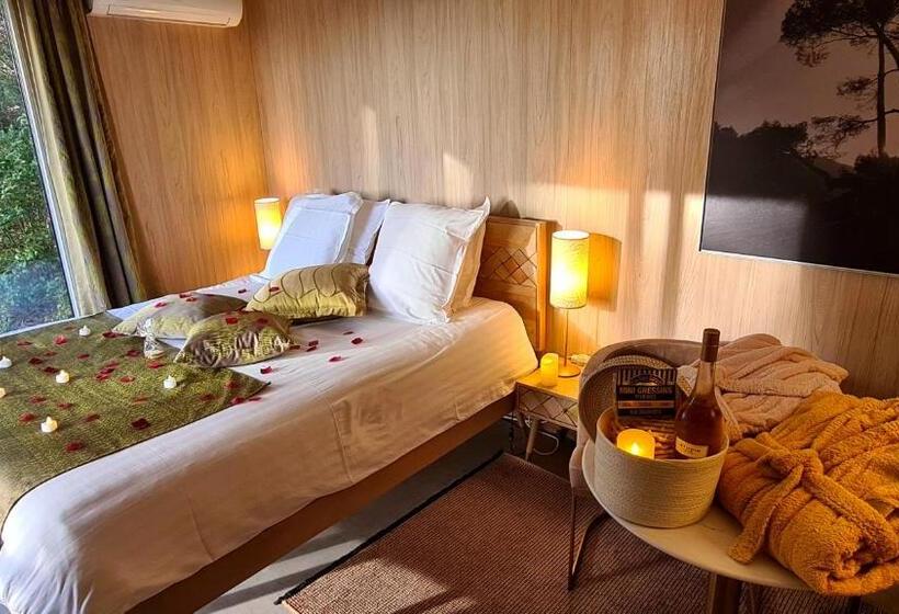 マウンテンビュースタンダードルーム, Le Chant Des Pins Lodge & Spa Tour De Keyrié