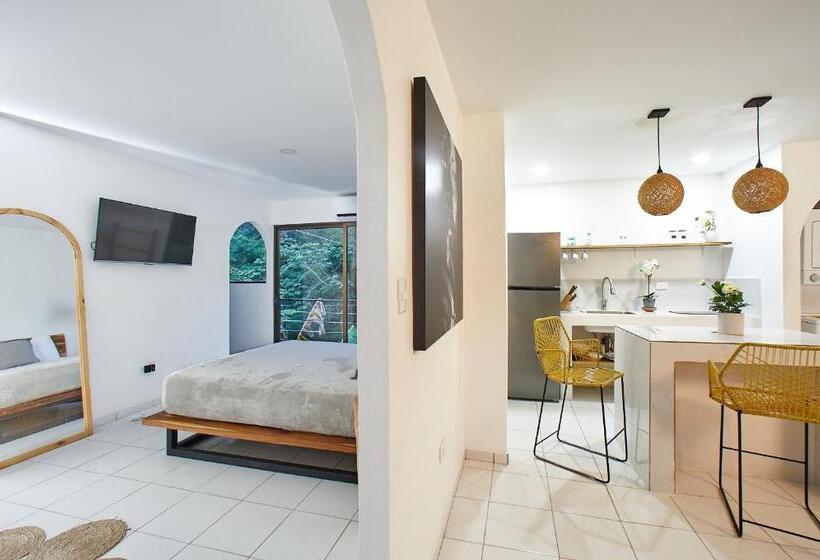 Студия Deluxe, Deluxe Loft 1 Bdr Con Linda Vista