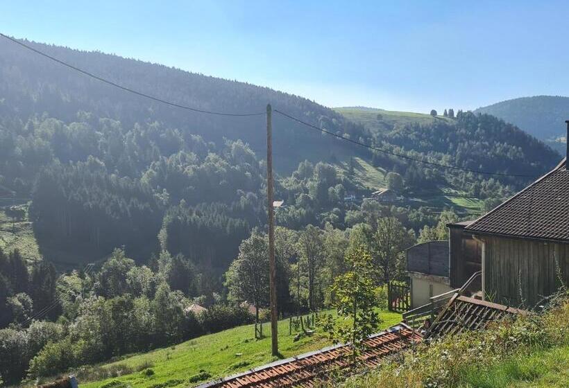 Семейный Номер, Maison Montagnarde Chaleureuse Avec Services, Randonnées Et Vue Imprenable à Ventron   Fr 1 589 567