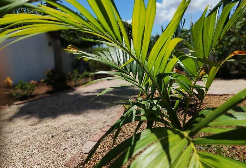 سوئیت با تخت بزرگ, Saint Joris A Tiny Boutique Resort