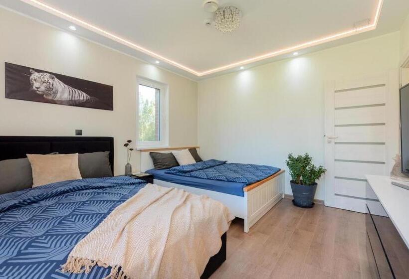 اتاق کلاسیک چهارنفره, Ojakalda Puhkekeskus