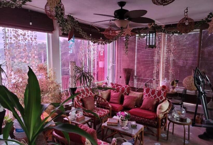 标准间, Stanza Mare Luna 180m Ferrys Isla Mujeres