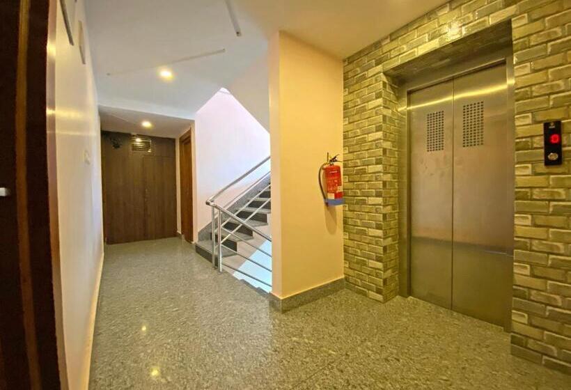 اتاق لوکس, White Rabbit