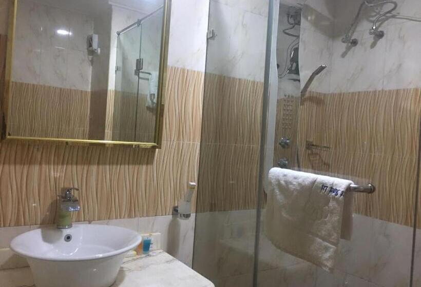 اتاق لوکس یک تخته, Wizy Hyatt