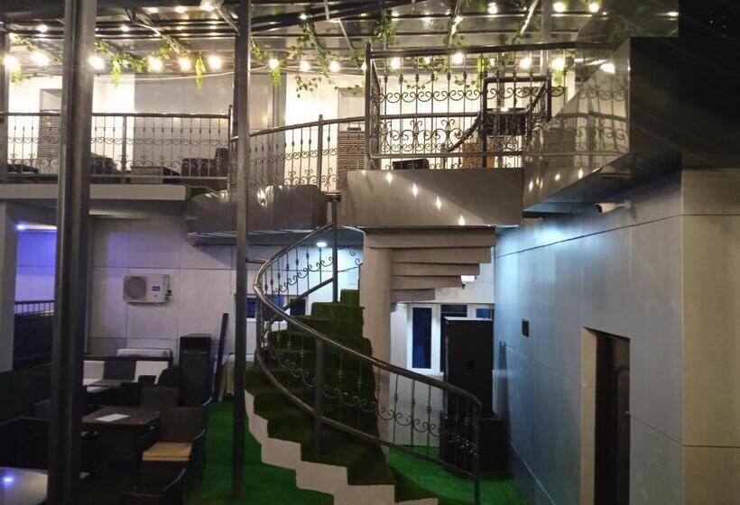 استودیو استاندارد با تخت کینگ, Wizy Hyatt