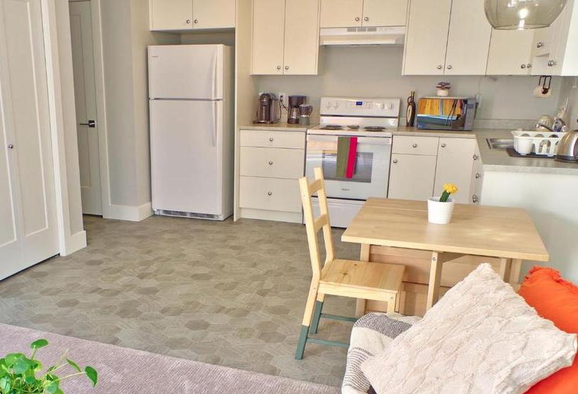 Standart Oda, Zen Retreat On The Laneway