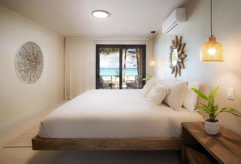 اتاق استاندارد با تخت بزرگ, Arca