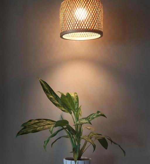 اتاق استاندارد با تخت بزرگ, Arca