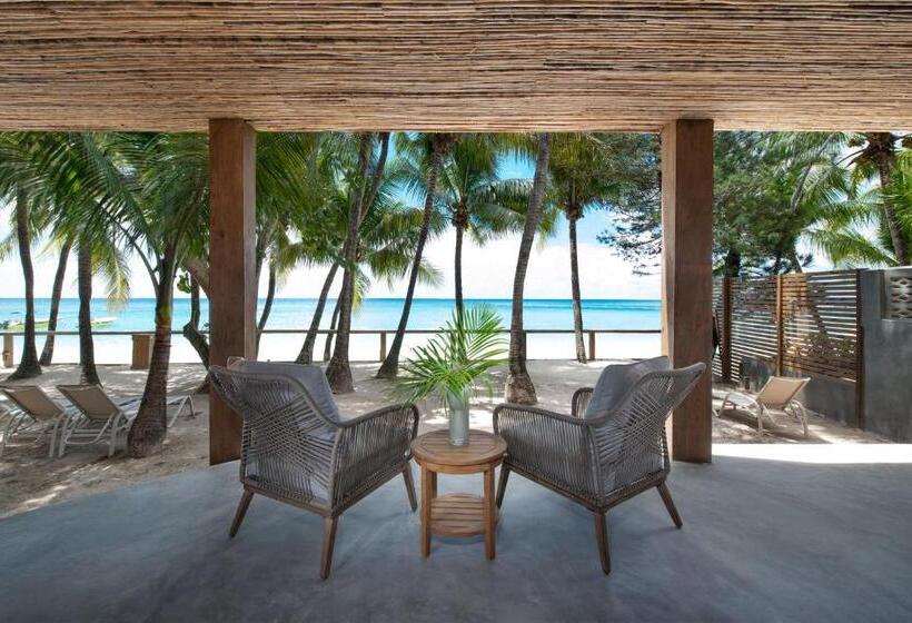 اتاق استاندارد با تخت بزرگ, Arca