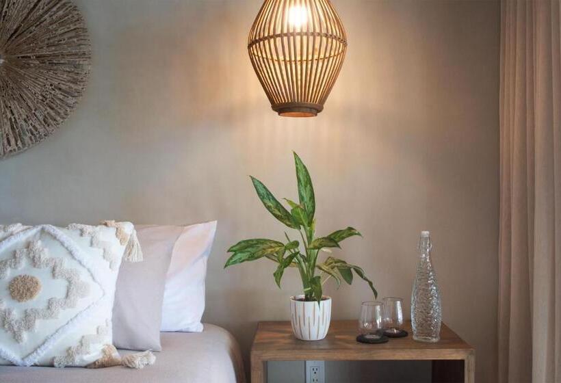 اتاق استاندارد با تخت بزرگ, Arca