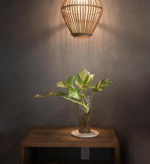 اتاق لوکس با تخت بزرگ, Arca