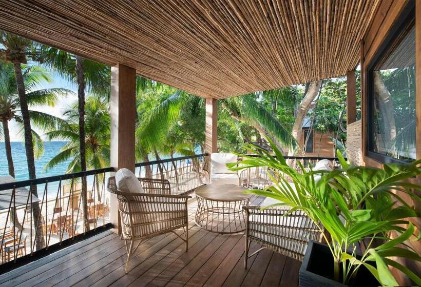 اتاق لوکس با تخت بزرگ, Arca