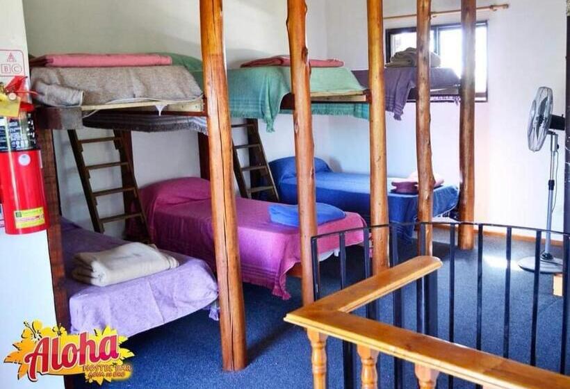 شاليه غرفة نوم واحدة, Aloha Hostel