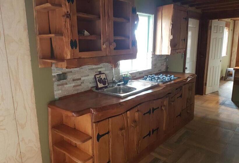 Apartamento 1 Dormitório com Terraço, Cabańas De La Ochi