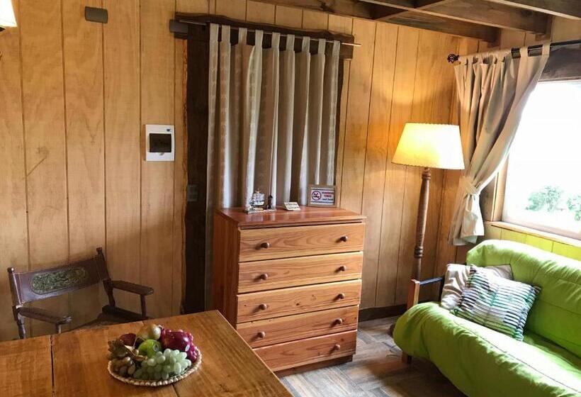 Apartamento 1 Dormitório com Terraço, Cabańas De La Ochi