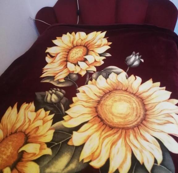 اتاق استاندارد, зима літо