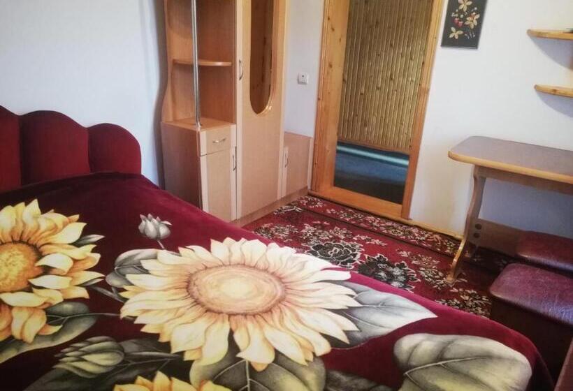 اتاق استاندارد, зима літо