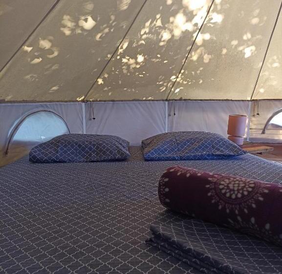 غرفة ديلوكس, Alouatta Playa Coyote