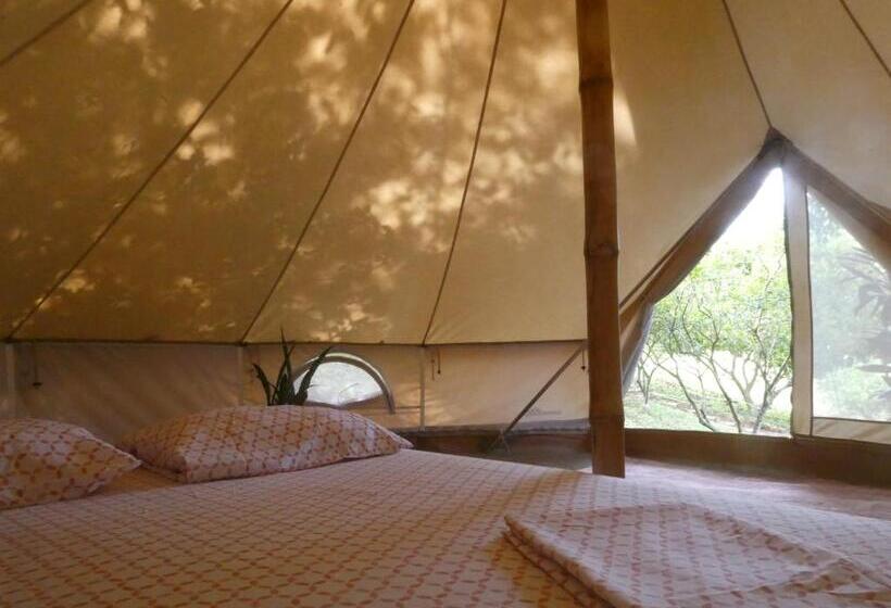 غرفة ديلوكس, Alouatta Playa Coyote