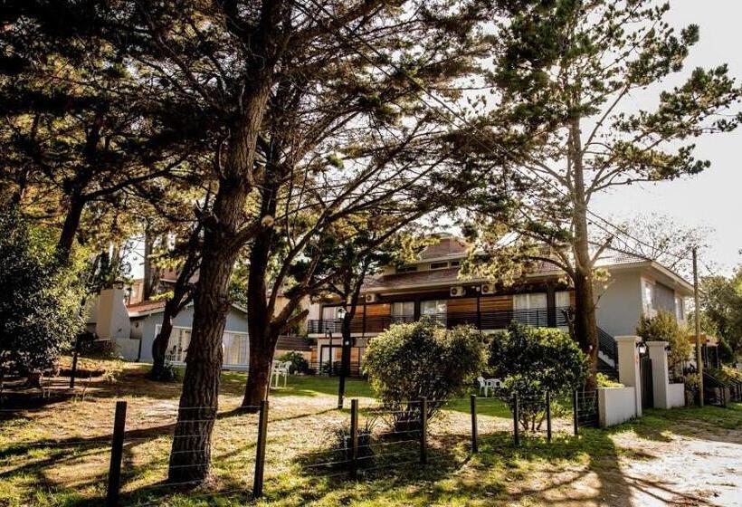 اتاق استاندارد با چشمانداز باغ, Aurelia