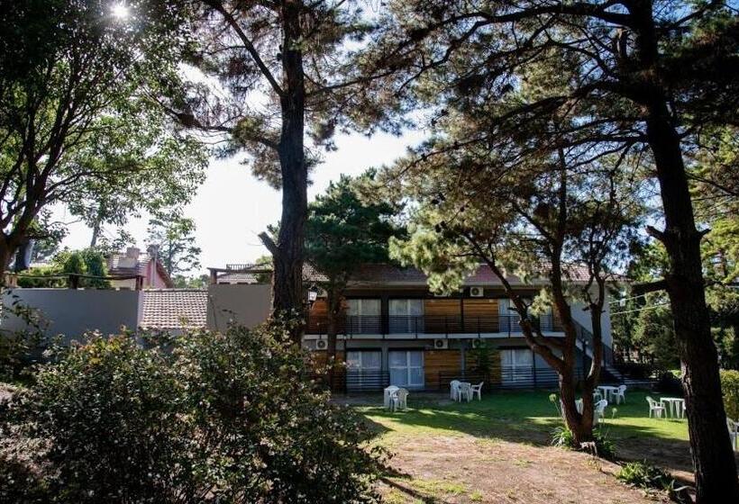 اتاق استاندارد با چشمانداز باغ, Aurelia