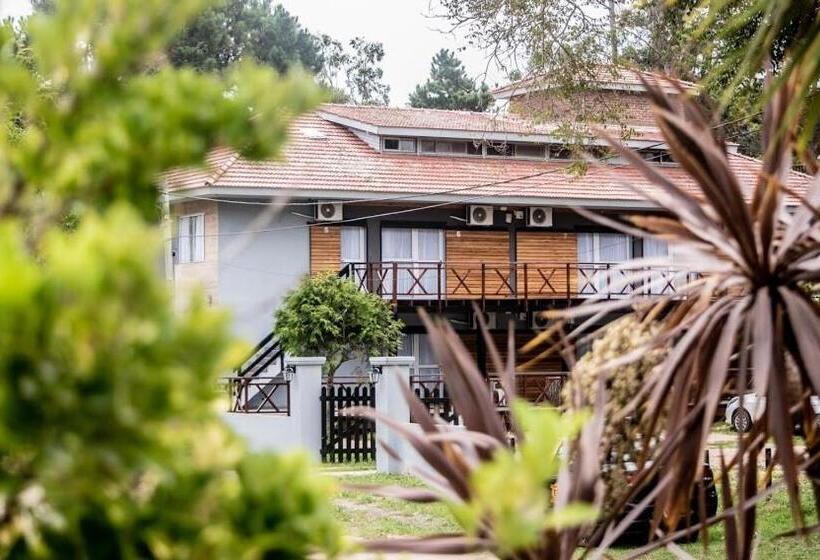 اتاق استاندارد با چشمانداز باغ, Aurelia