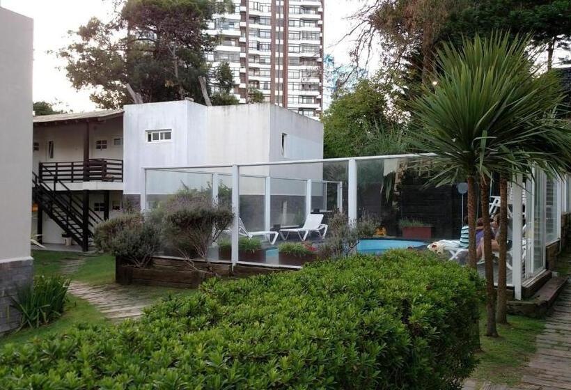 חדר סטנדרט לארבעה, Gaviotas Apart